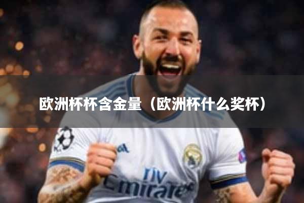 欧洲杯杯含金量(欧洲杯什么奖杯)