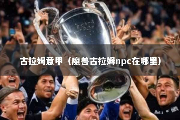 古拉姆意甲(魔兽古拉姆npc在哪里)