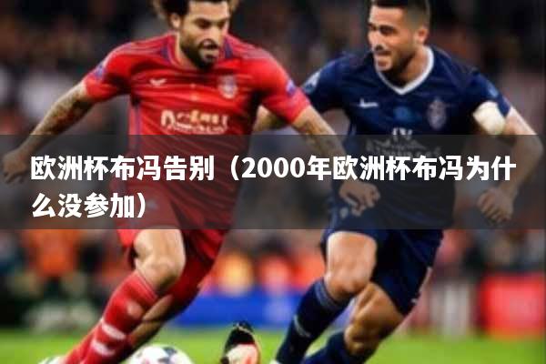 欧洲杯布冯告别(2000年欧洲杯布冯为什么没参加)