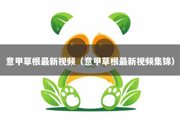 意甲草根最新视频（意甲草根最新视频集锦）